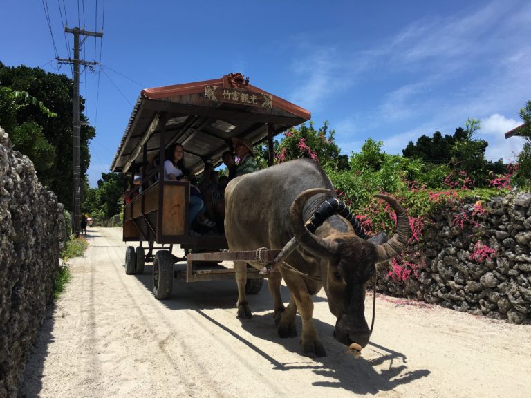 竹富島の水牛車